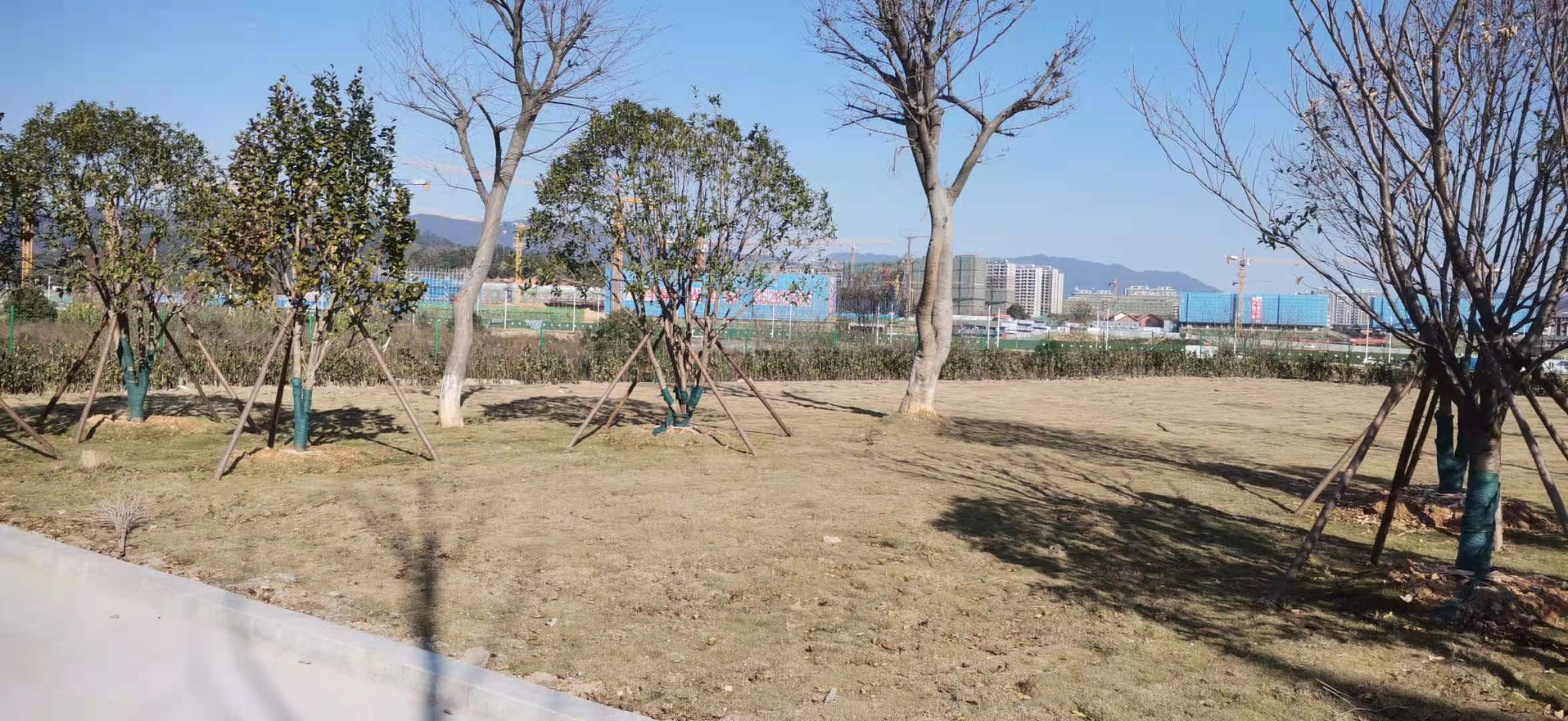 5.服務(wù)區綠化2.jpg
