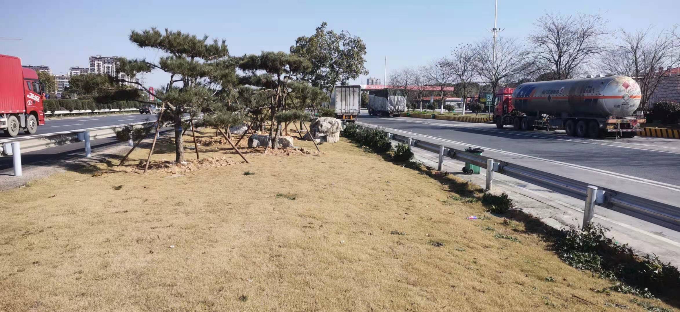 6.服務(wù)區綠化6.jpg