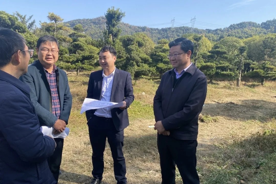 涂建平赴西二環(huán)高速項目和九洲高架東延項目現場(chǎng)調研指導工作